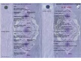 Паспорта ТС - купить недорого на территории России