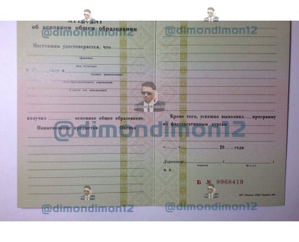 Купить аттестат за 9 класс 1994-2006 годов, старого образца